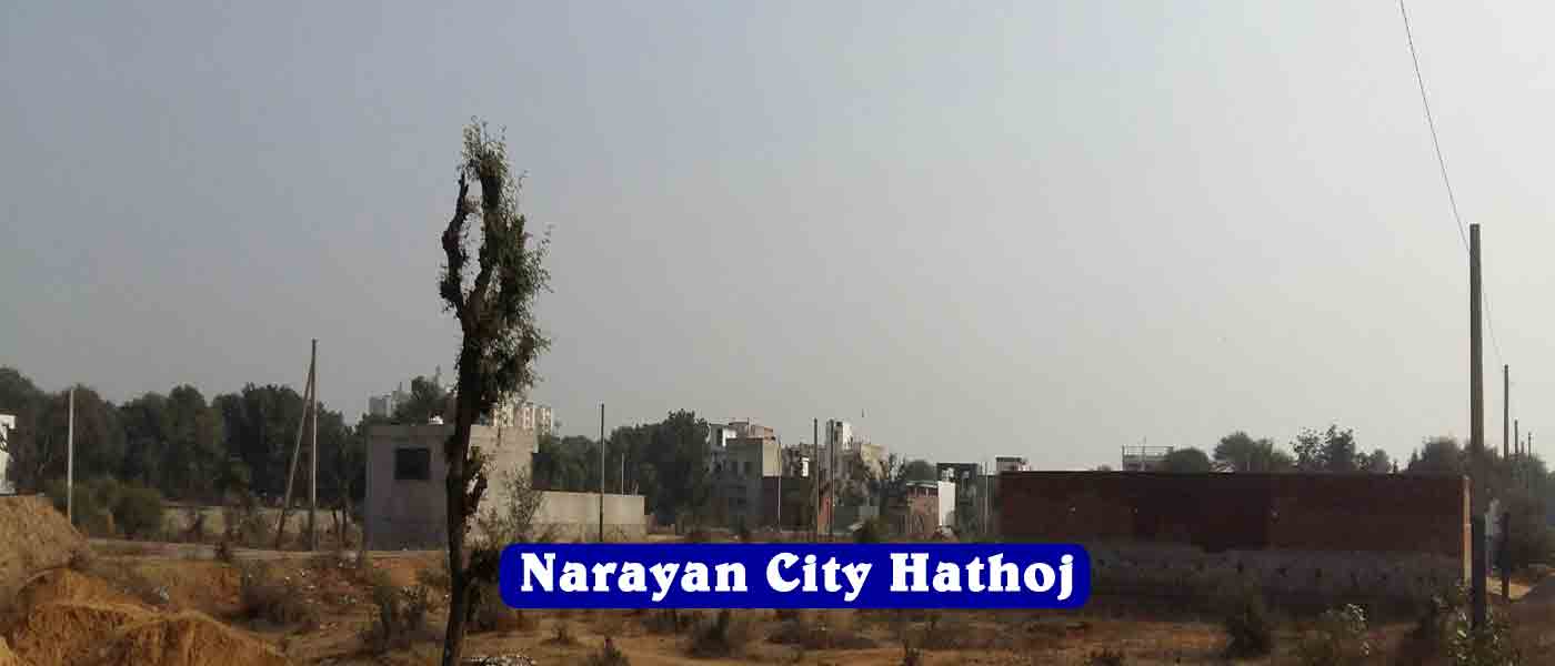 property in narayan city, plot for sale in hathoj jaipur