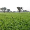 agriculture land for sale in jaipur, farm house for sell in jaipur