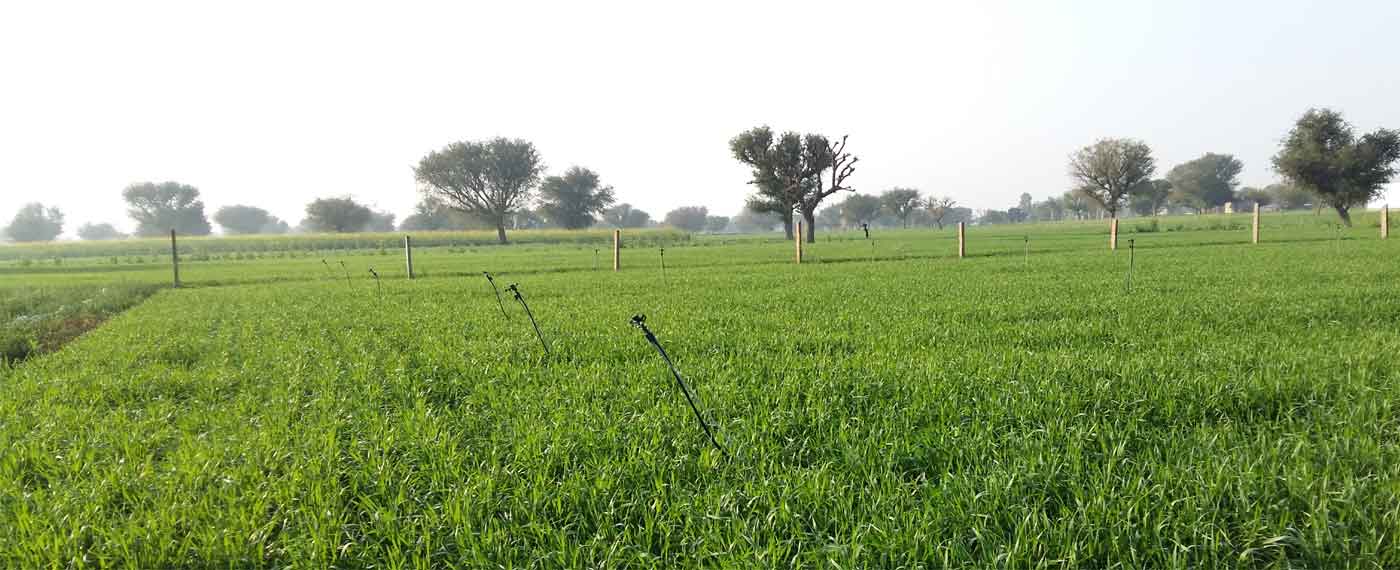 agriculture land for sale in jaipur, farm house for sell in jaipur