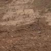 3 bigha agriculture land, 4 bigha agriculture land