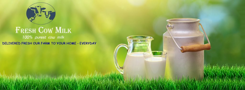 fresh milk supplier in jaipur, milk in jaipur